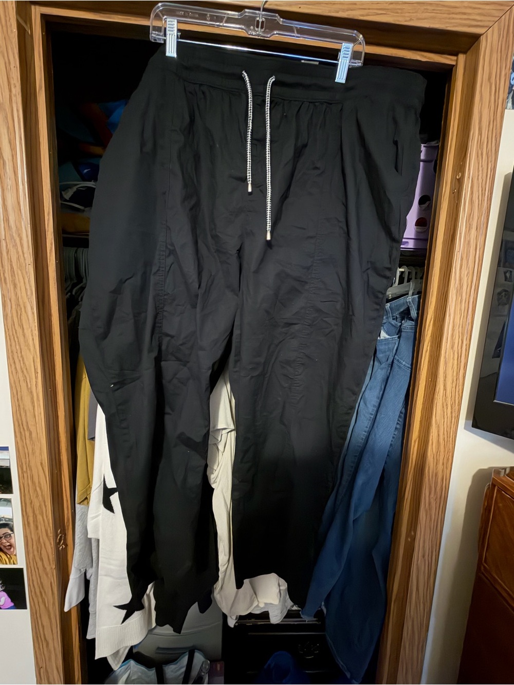 Torrid Pants
